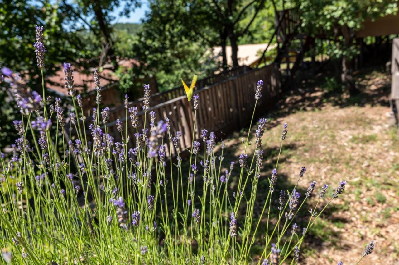 Domaine De Chalveches Hotel Spa 4* Faugeres  Esterno foto