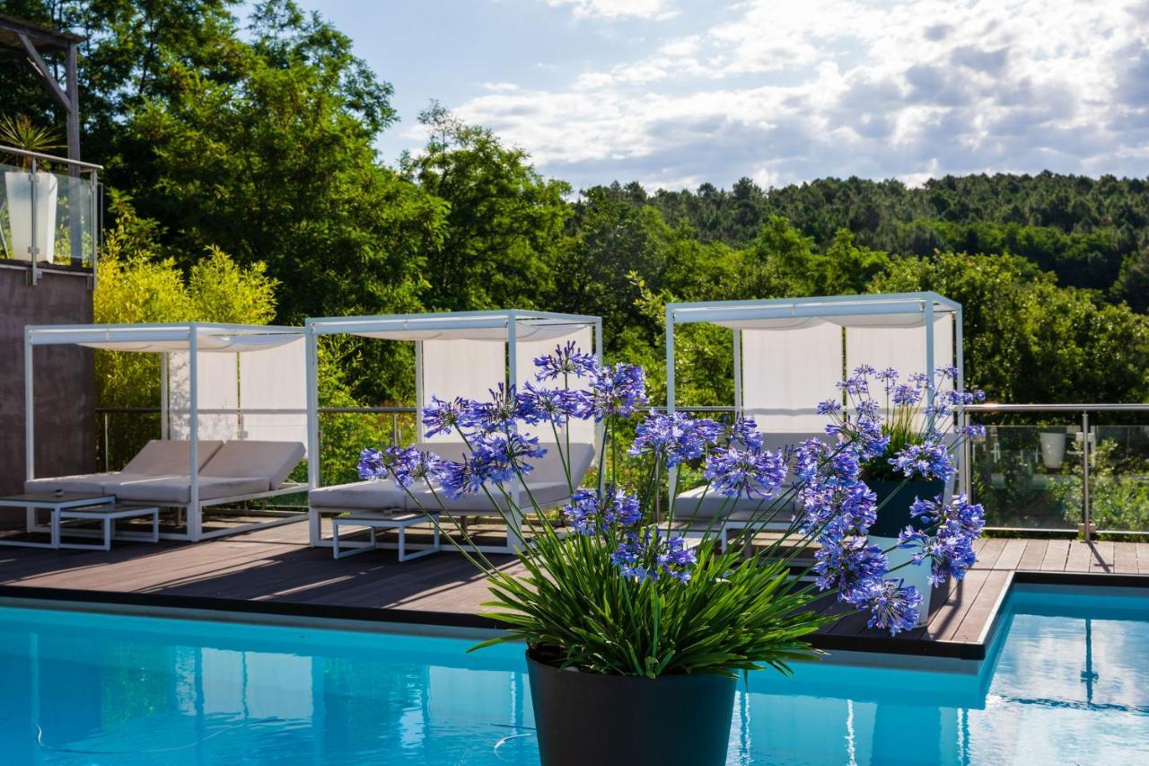 Domaine De Chalveches Hotel Spa 4* Faugeres  Esterno foto